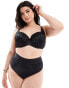 Фото #3 товара Ivory Rose Curve Roma C-G lace and spot mesh padded t shirt bra in black