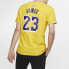 Фото #4 товара Футболка Nike Dri-FIT NBA Jersey T-shirt T AR4887-740