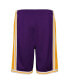 ფოტო #3 პროდუქტის Big Boys Purple Los Angeles Lakers Hardwood Classics Swingman Shorts