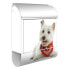 Фото #5 товара Briefkasten Stahl Westie