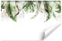 Фото #1 товара Fototapete tropische Blätter Pflanzen