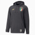 Фото #7 товара Puma Figc Ftbl Coulture Hoody M 767136-09