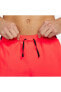Фото #3 товара Challenger Dri-Fit Shorts In Red CZ9066-635