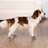 Фото #3 товара Зоотовары для собак TRIXIE Собачие носки против скольжения 2 шт. XS-S