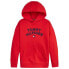 Фото #2 товара TOMMY HILFIGER Flag hoodie