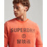 Фото #4 товара SUPERDRY Vintage Corp Logo sweatshirt