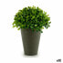 Фото #1 товара Декоративное растение Пластик 13 x 16 x 13 cm Зеленый Серый (12 штук)