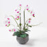 Фото #4 товара Künstliche weiße Phalaenopsis-Orchidee