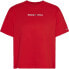 Фото #1 товара TOMMY JEANS Classic Serif Linear T-shirt