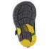 KEEN Newport H2 sandals