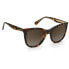 ფოტო #3 პროდუქტის POLAROID PLD4096SX086L Sunglasses