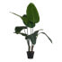 Decorative Plant 100 x 100 x 100 cm Bird of paradise