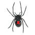 Фото #2 товара Фигурка Safari Ltd Black Widow Spider Figure Wildlife Wonders (Дикие Чудеса)