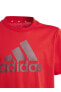 Футболка Adidas IJ6262U BL Red