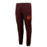 Фото #2 товара SUPERDRY The 5Th Down joggers