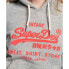 Фото #3 товара SUPERDRY Neon Vintage Logo hoodie