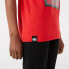 NEW ERA NBA Photographic Chicago Bulls short sleeve T-shirt