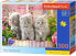 Фото #1 товара Castorland Puzzle 300 Three Grey Kittens