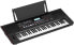 Roland E-X50 Electronic Arranger Keyboard - Easy to Use | Stereo Speakers | Bluetooth | Professional Roland Sounds | Microphone Input | Automatic Accompaniment Function