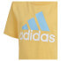 Фото #7 товара Детский спортивный костюм Adidas Essentials Big Logo начинающегося игрокa
