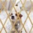 Фото #7 товара Ausziehbares Hundeabsperrgitter Bambus