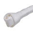 ფოტო #4 პროდუქტის HILTON Knotted white bone 17 5 cm dog treat