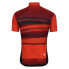 DARE2B Aep Pedal short sleeve jersey