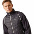 Фото #8 товара REGATTA Steren II Hybrid softshell jacket