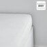 Fitted bottom sheet TODAY Jersey 160 x 190 cm White