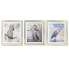 Картина DKD Home Decor 40 x 1,6 x 60 cm птицы Средиземноморье (3 Предметы)
