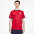 Фото #1 товара [756493-01] Mens Puma FACR HOME SHIRT REPLICA