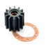 Фото #2 товара VETUS DT4.29 Impeller Kit