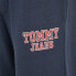 Фото #6 товара Спортивные брюки Tommy Hilfiger DM0DM16337C87