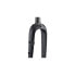 RITCHEY WCS Carbon Tapered Adventure 12x100 mm road fork