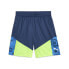 Фото #1 товара Puma Individualcup Soccer Shorts Mens Blue Casual Athletic Bottoms 65848554