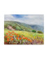 Фото #1 товара Li Bo 'Blooming Poppy 1' Canvas Art - 19" x 14"