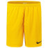 Фото #1 товара NIKE Dri-FIT Park 3 University Shorts