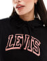 Фото #6 товара Levi's hoodie with small sport logo in black