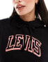 Levi's hoodie with small sport logo in black