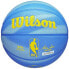 Фото #3 товара Wilson NBA DRV Pro Heritage Ball WZ3008501XB