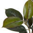 Фото #3 товара Декоративное растение PVC Железо фикус 49 x 45 x 125 cm