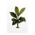 Фото #1 товара Wandbild Elastica Leaf