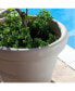 Фото #2 товара Сервировка стола горшок для растений Crescent Garden brunello Classic, 20 дюймов Погодный бетон