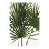 Фото #1 товара Wandbild Palmtree Leaves