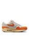 Фото #1 товара NİKE Wmns Air Max 1 Magma Orange DZ4709-001