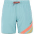 Фото #1 товара PROTEST Melvin Swimming Shorts