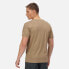 ფოტო #6 პროდუქტის REGATTA Cline VI short sleeve T-shirt