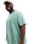 Фото #1 товара Polo Ralph Lauren Big & Tall icon logo t-shirt in light green