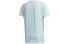 Adidas NEO FP7463 Trendy Clothing T-Shirt