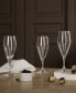 Perfection Champagne Glasses, Set of 6